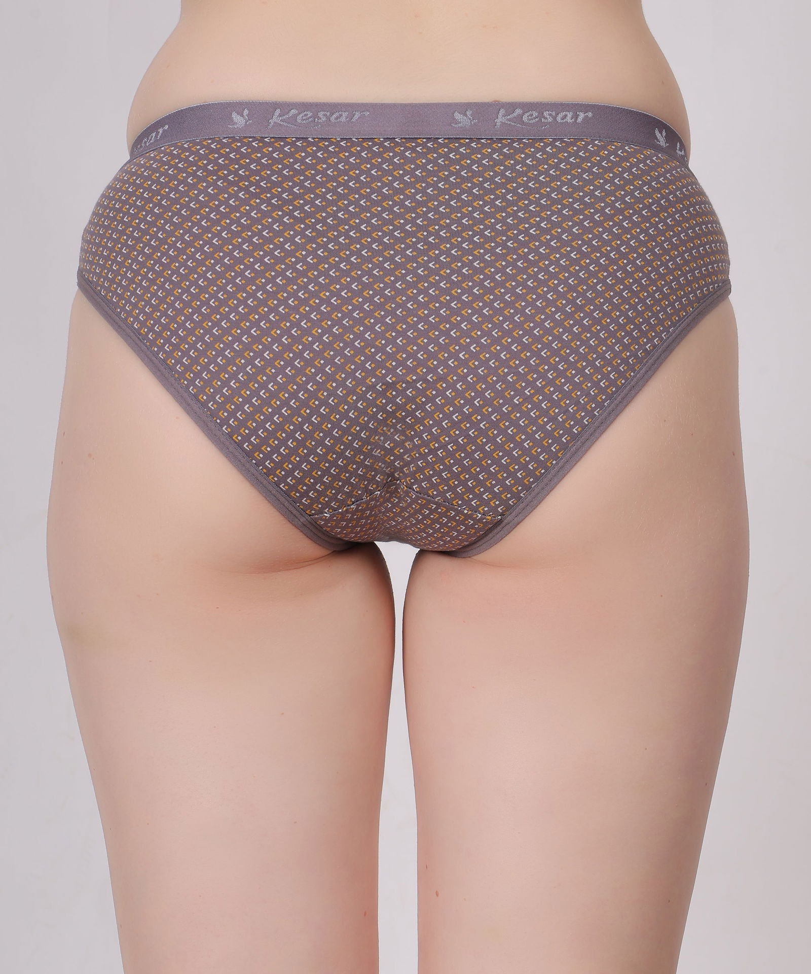 Femina – Graceful Elegance Panty - Kesar Lingeries