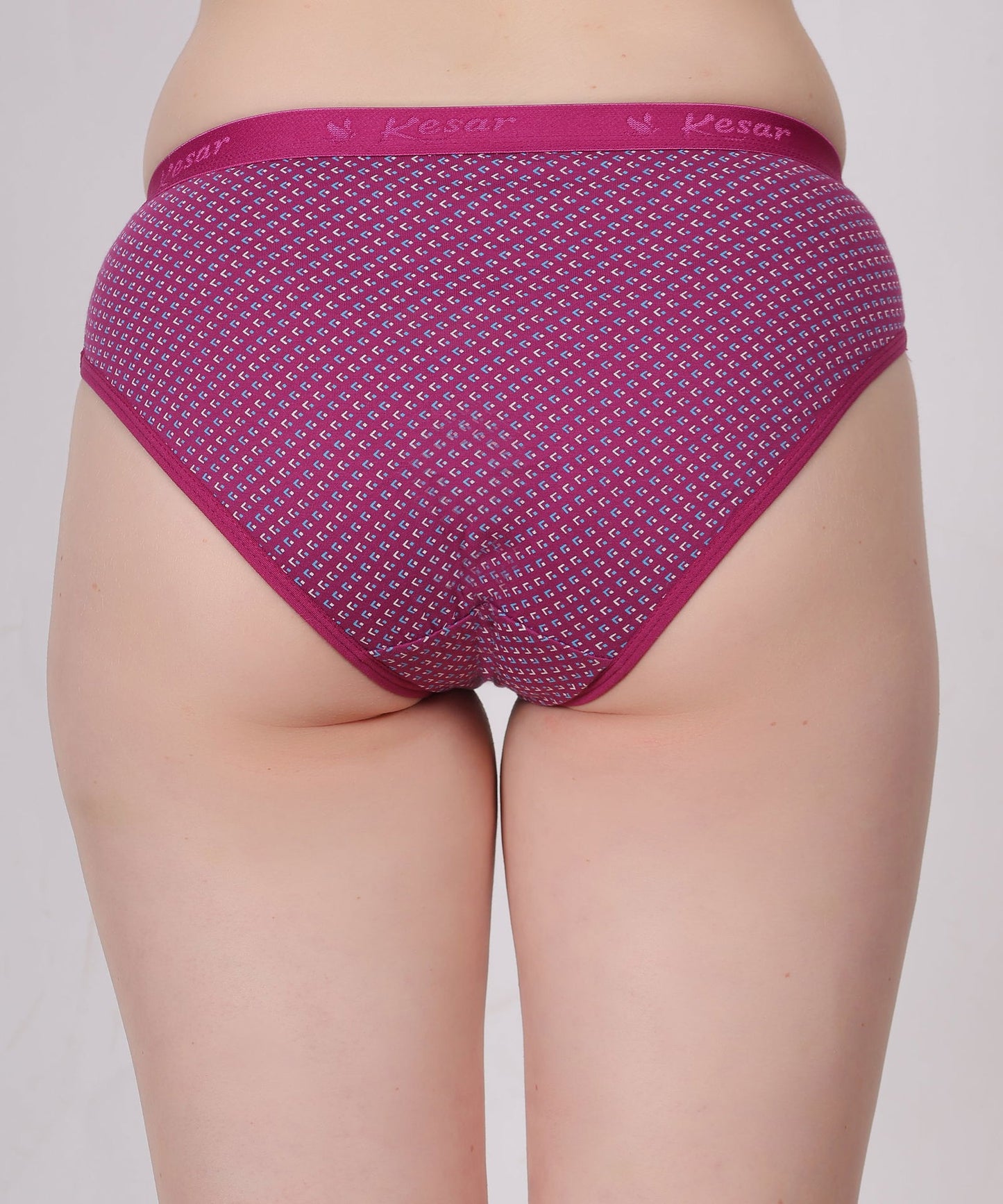 Femina – Graceful Elegance Panty - Kesar Lingeries