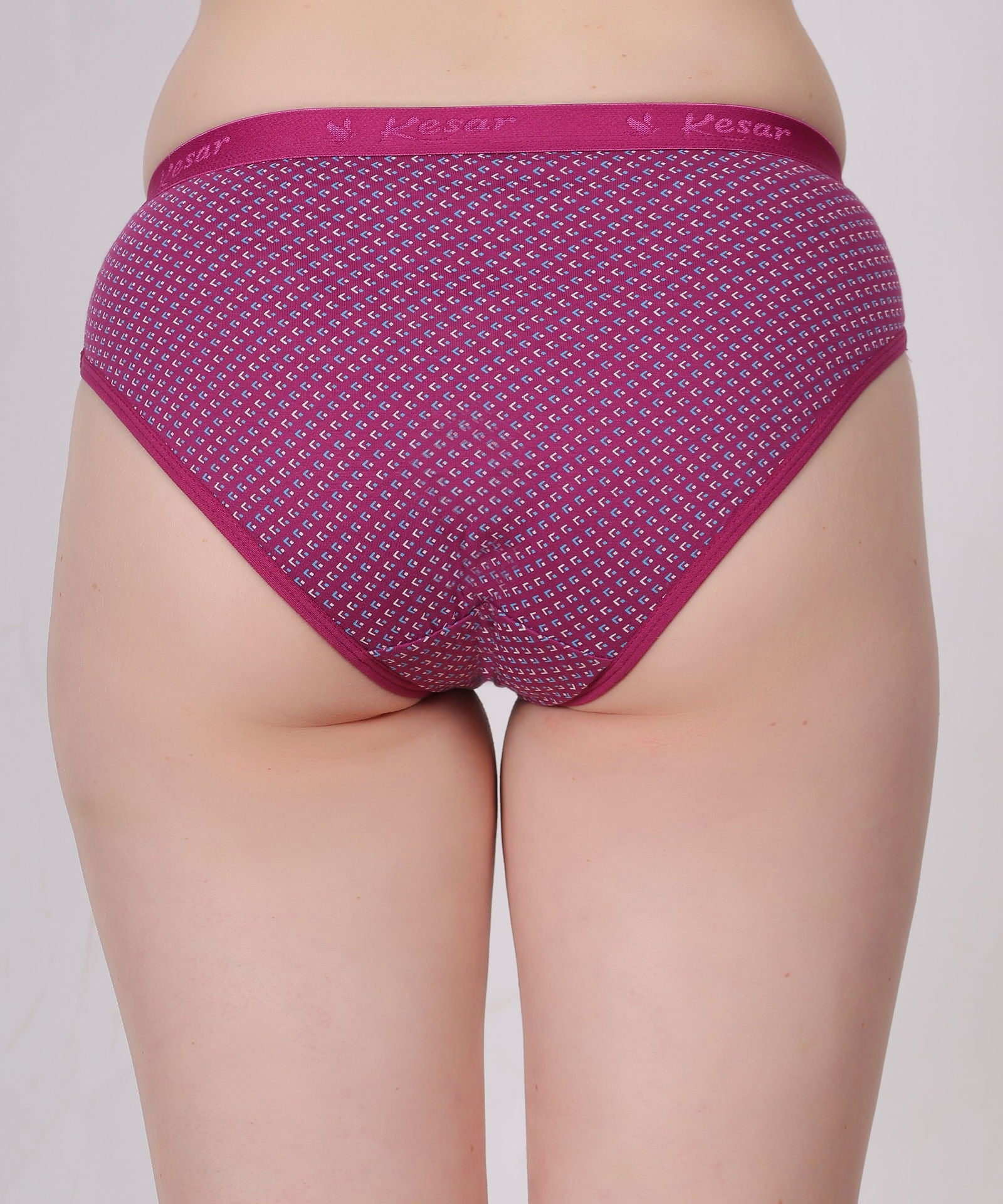 Femina – Graceful Elegance Panty - Kesar Lingeries